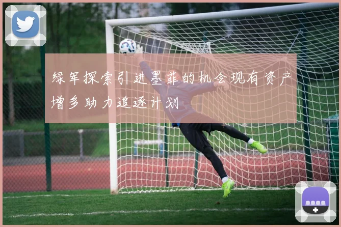 绿军探索引进墨菲的机会现有资产增多助力追逐计划