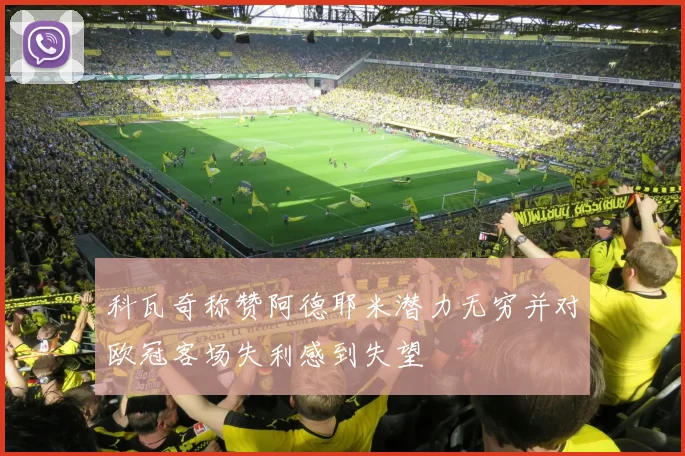 科瓦奇称赞阿德耶米潜力无穷并对欧冠客场失利感到失望